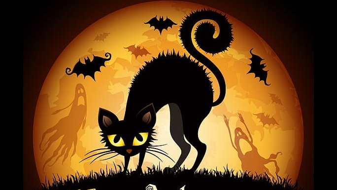 Click to Enlarge-Esc to Close EventPhotos/Halloween/halloween cats.jpg